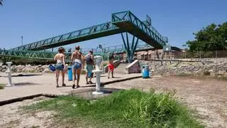 La playa de San Gabriel de Alicante vuelve a quedar al margen: vegetación en la arena y quejas por falta de mantenimiento