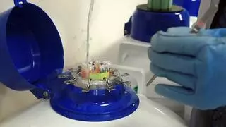 Lista de espera de dos años para un tratamiento de reproducción asistida en Alicante