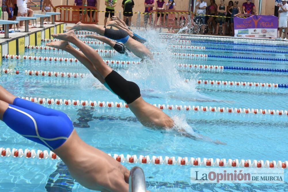 Final del Campeonato regional de natación.