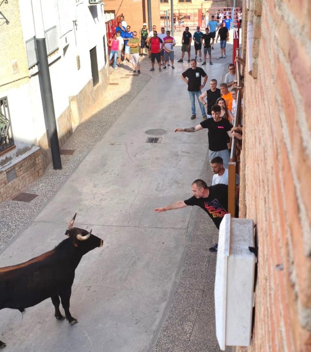 Los festejos taurinos protagonizaron las fiestas.  | L