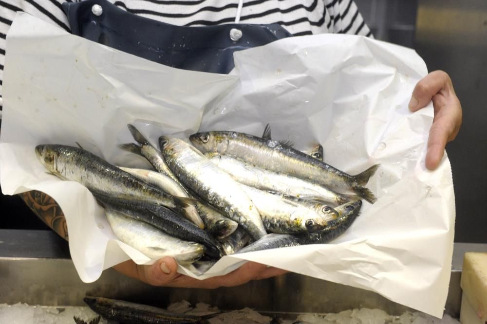 Pocas sardinas en A Coruña en vísperas de San Juan