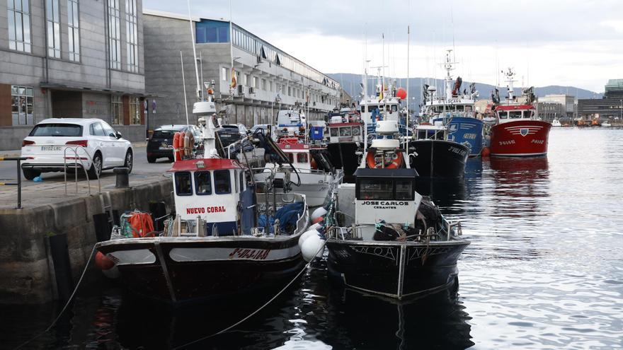Portugal permite la pesca de sardina de forma accesoria en sus aguas hasta marzo