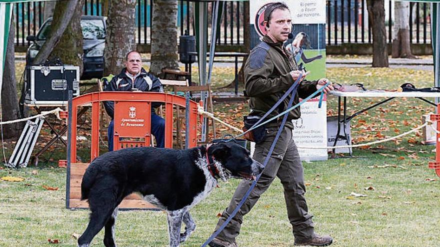 Rubén González-Vigil realiza una actividad de entrenamiento canino.