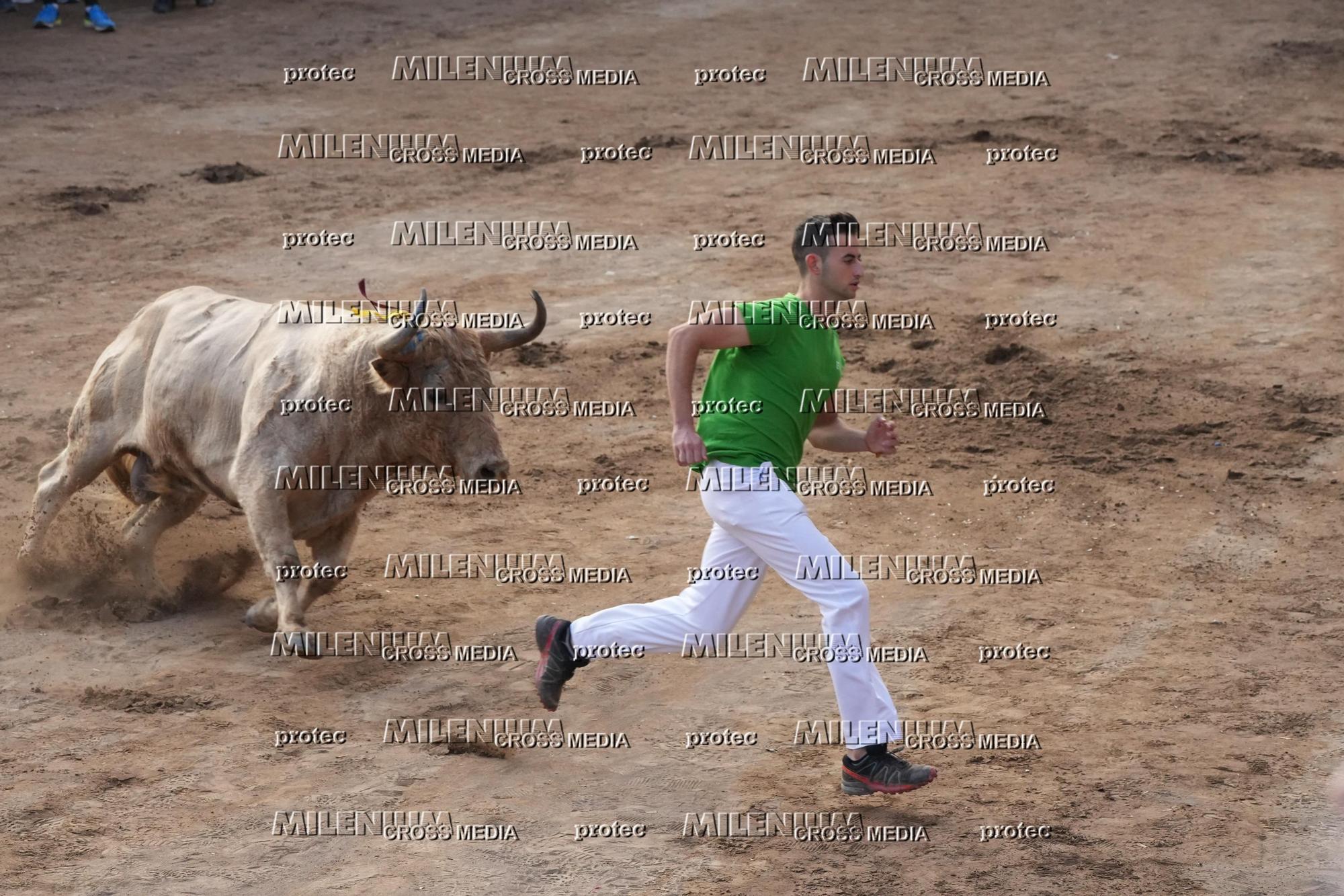 Galería de fotos de la última tarde de toros de la Fira en Onda