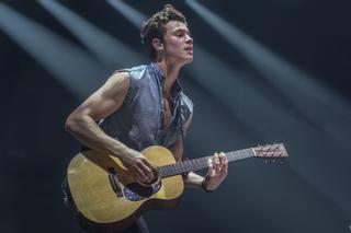 Shawn Mendes suspende su gira mundial por su salud mental