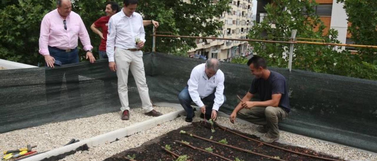 El abandono se adueña de las obras de drenaje a las que Rus dedicó 300.000 euros