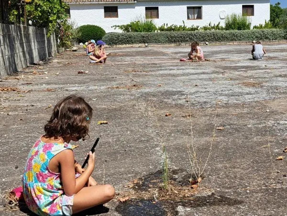 Imatge de l'assaig obert "Mala herba sempre creix" de Cia. Pagans