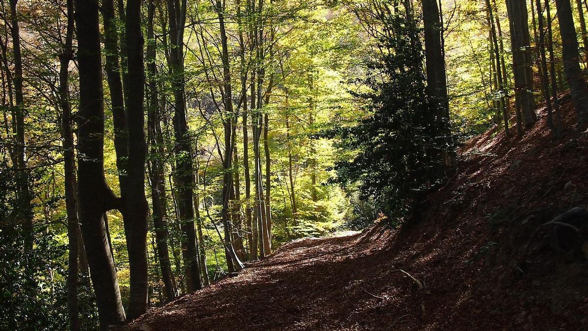 Parque Natural del Montseny (Barcelona)
