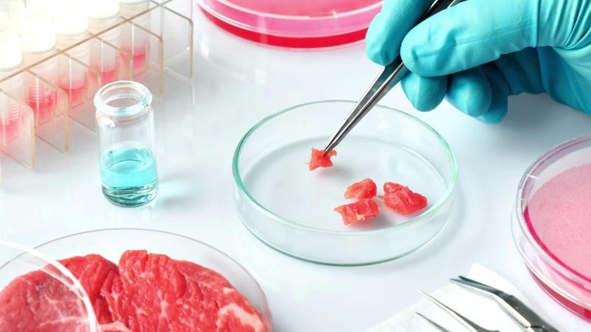 La carne se produce mediante técnicas de laboratorio