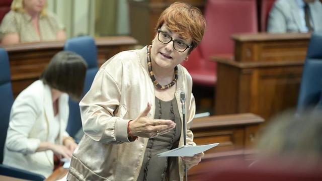 La consejera de Bienestar Social, Igualdad, Juventud, Infancia y Familias del Gobierno canario, Candelaria Delgado. | EL DÍA