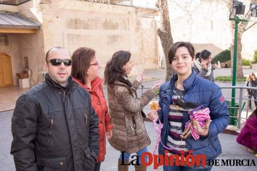 Bendición de animales en Caravaca