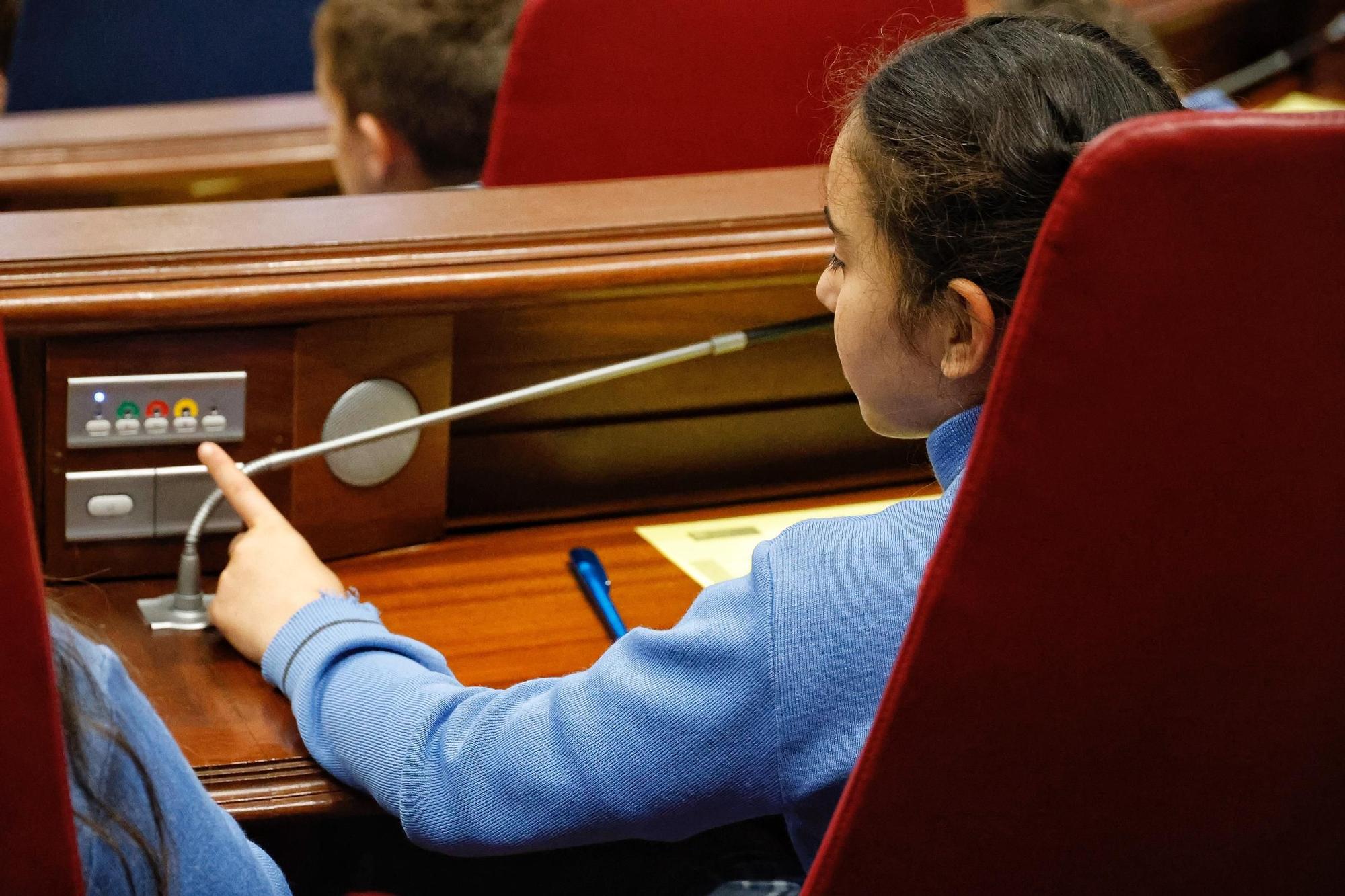 Escolares en el Parlamento de Canarias