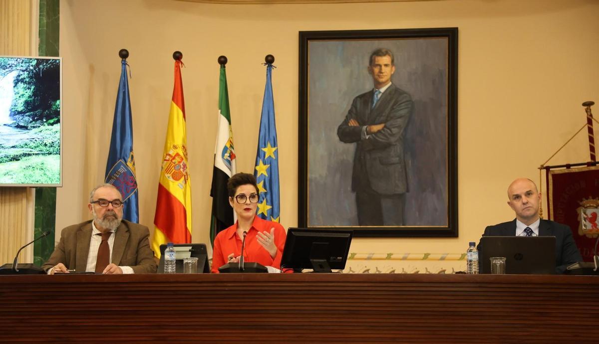 Pleno ordinario del mes de febrero de la Diputación de Badajoz.