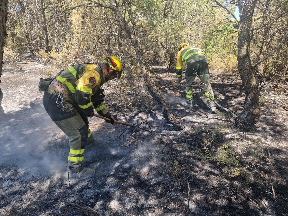 En imágenes I El operativo del Infoar en el sector 1 del incendio de Leciñena, este viernes En imágenes I El operativo del Infoar en el sector 1 del incendio de Leciñena, este viernes
