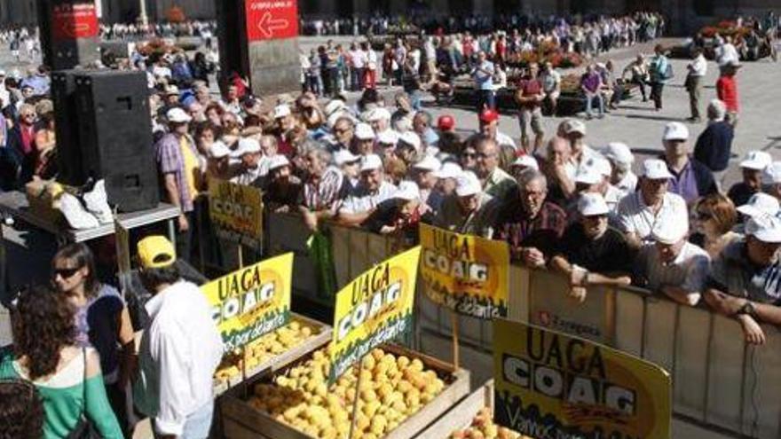 Otro verano negro para los fruticultores