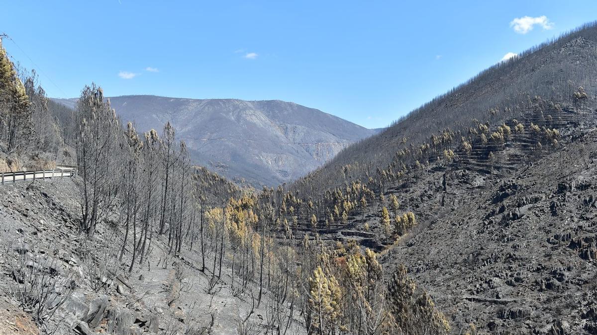 En directo | El incendio de Las Hurdes queda estabilizado tras calcinar más de 4.200 hectáreas