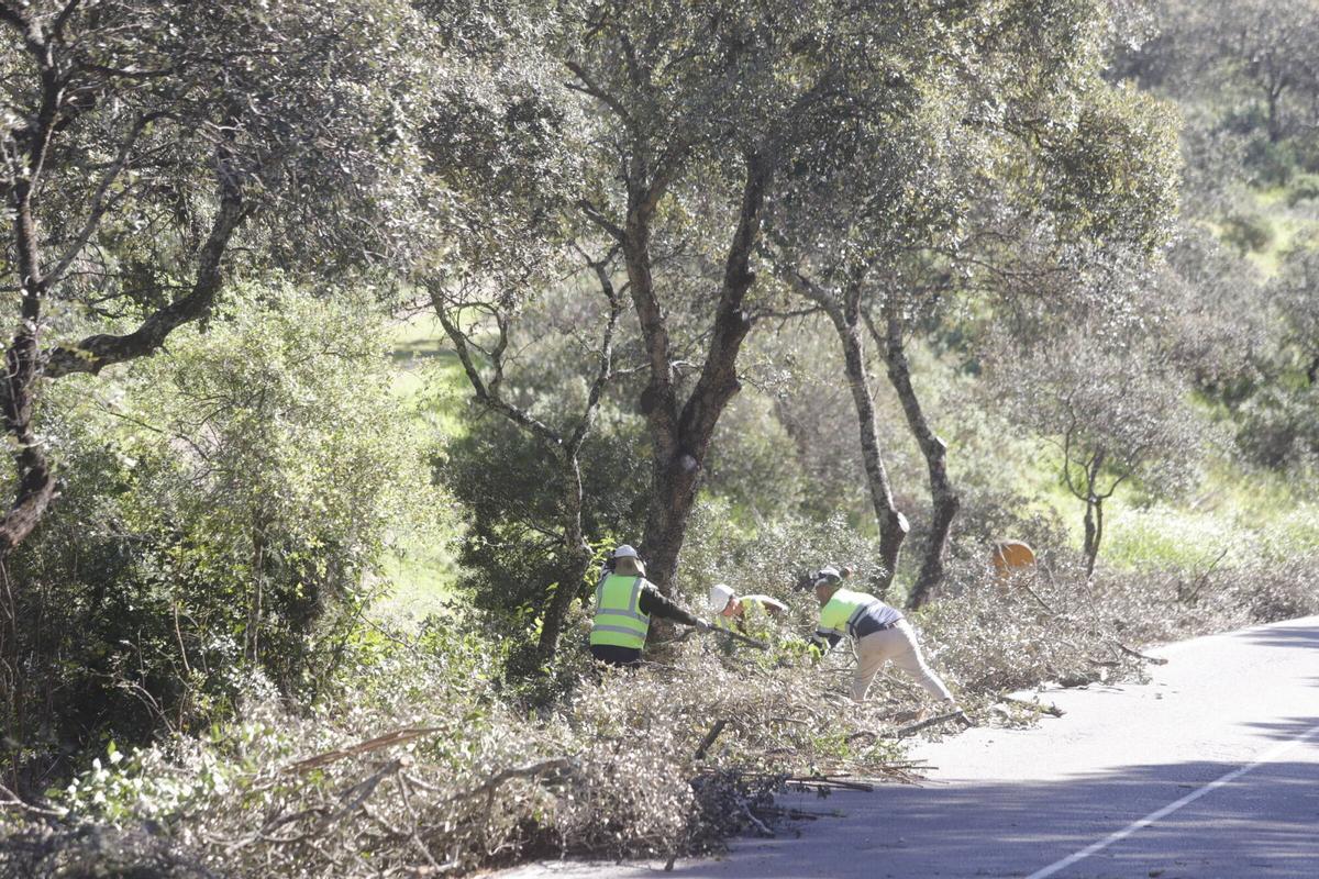 A.J.González Córdoba Limpieza de las cunetas de la carretera de Los Villares por personal trabajadores de Tragsa