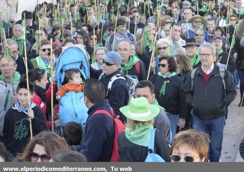 GALERÍA DE FOTOS - Romería Magdalena 2014 (4)