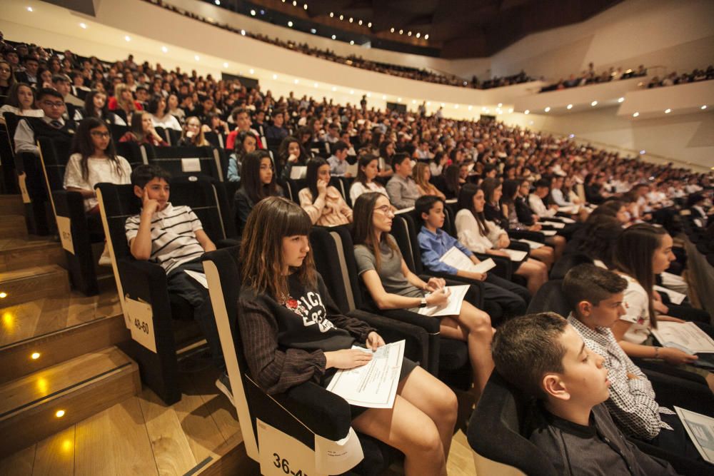 Estos son los alumnos de matrícula de honor de Primaria en la provincia de Alicante