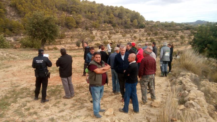 Los agricultores paran en Benissa la tala de almendros con Xylella