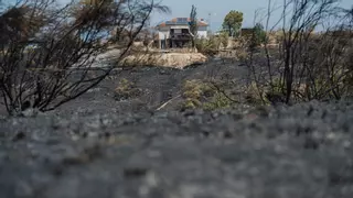 Extinguido el incendio forestal de Méntrida (Toledo), que ha quemado unas 3.100 hectáreas