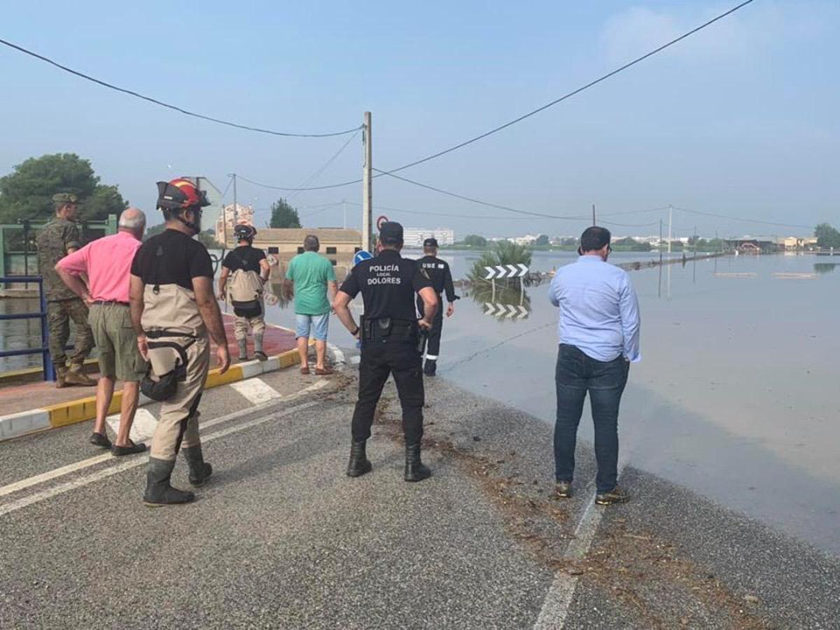 Gota fría en la Vega Baja: Los agricultores cifran en 550 millones las pérdidas en el campo de la provincia de Alicante