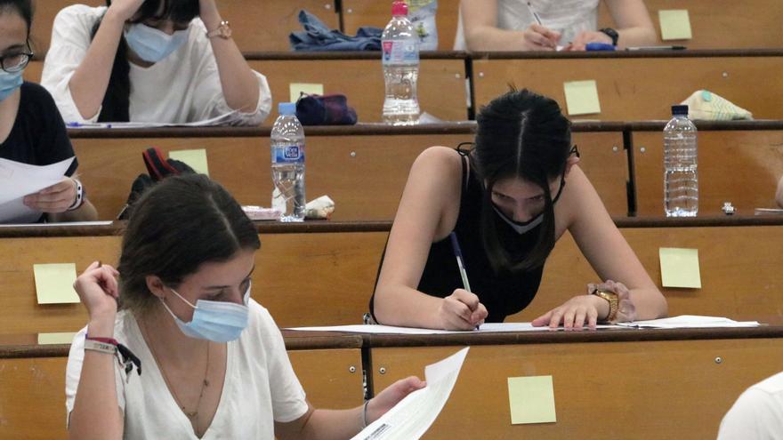 "Alegría" en la Universidad por volver a la presencialidad total: "Lo necesitamos" - Vimarsana News