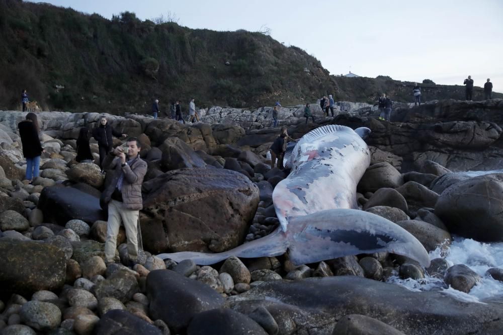 La ballena varada de Oia