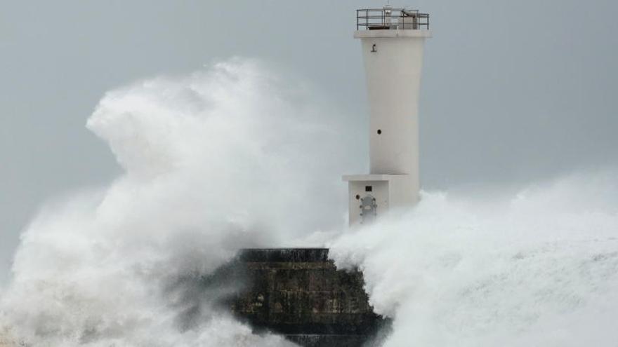 Olas provocadas por &#039;Hagibis&#039;.