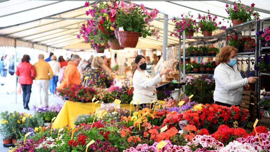 Vilarmaior celebra este domingo su tradicional Feira das Flores