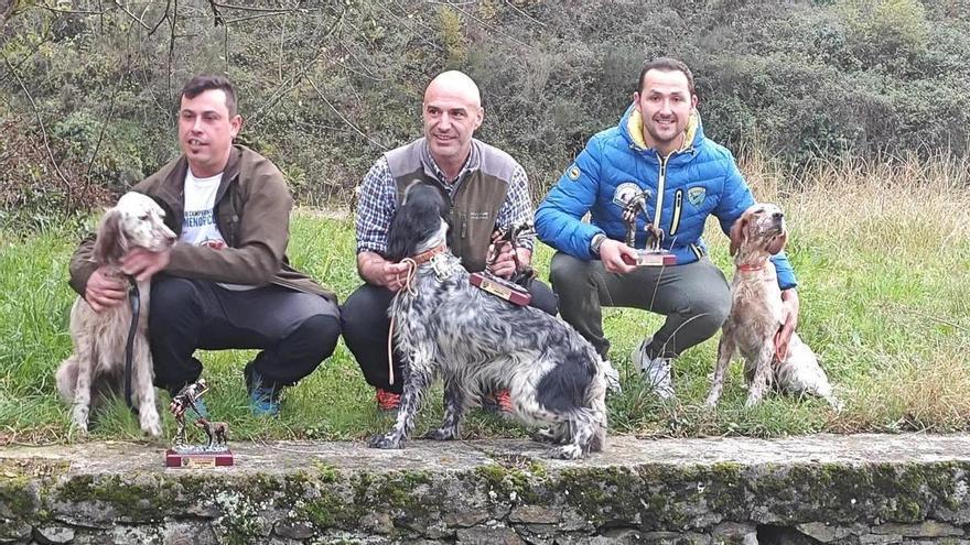 El setter "Monti", de Víctor González Iglesias, dominan el Campeonato de Asturias de Caza Menor con Perro, dilucidado en el coto de Aller