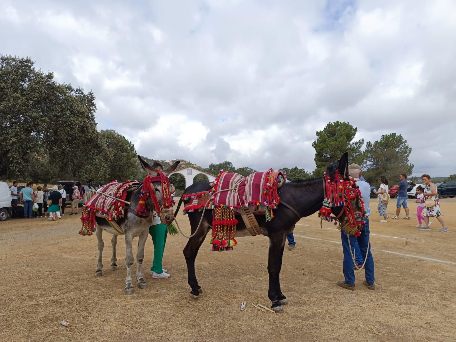 Obejo celebra su tradicional danza de las espadas en honor de San Benito
