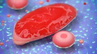 Crean carne cultivada con residuos de cerveza