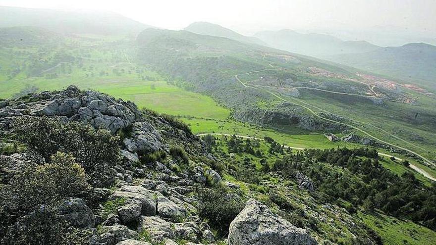 Lince ibérico, águila imperial y musgaño de Cabrera: el Plan 2026 del Geoparque Sierras Subbéticas se centra en su estudio