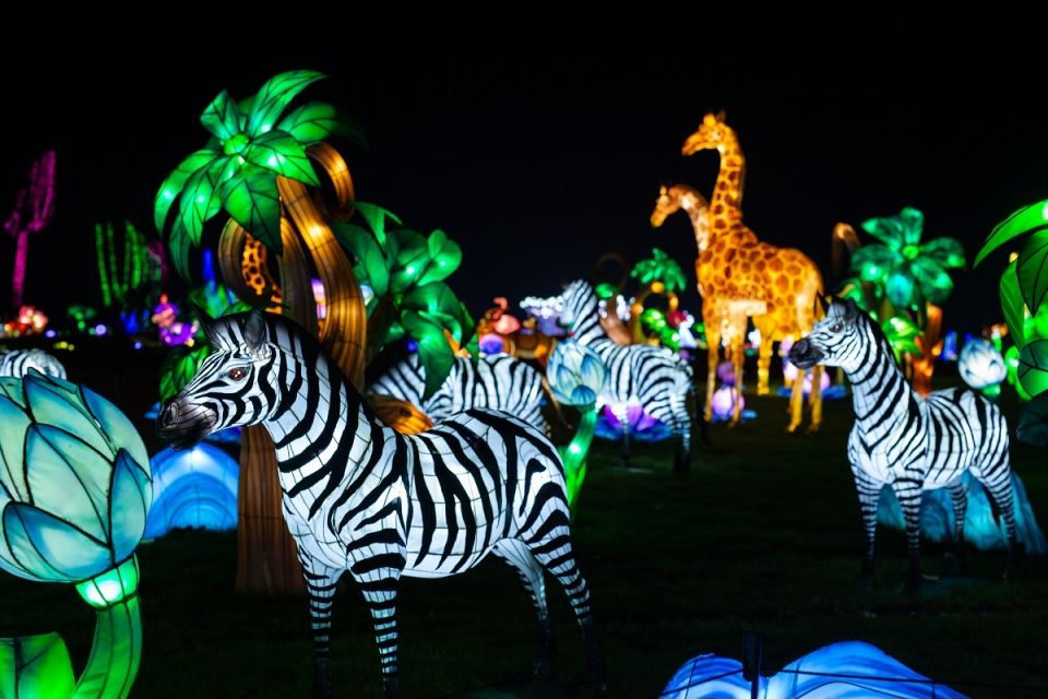 Festival de Luces Salvajes en Portugal