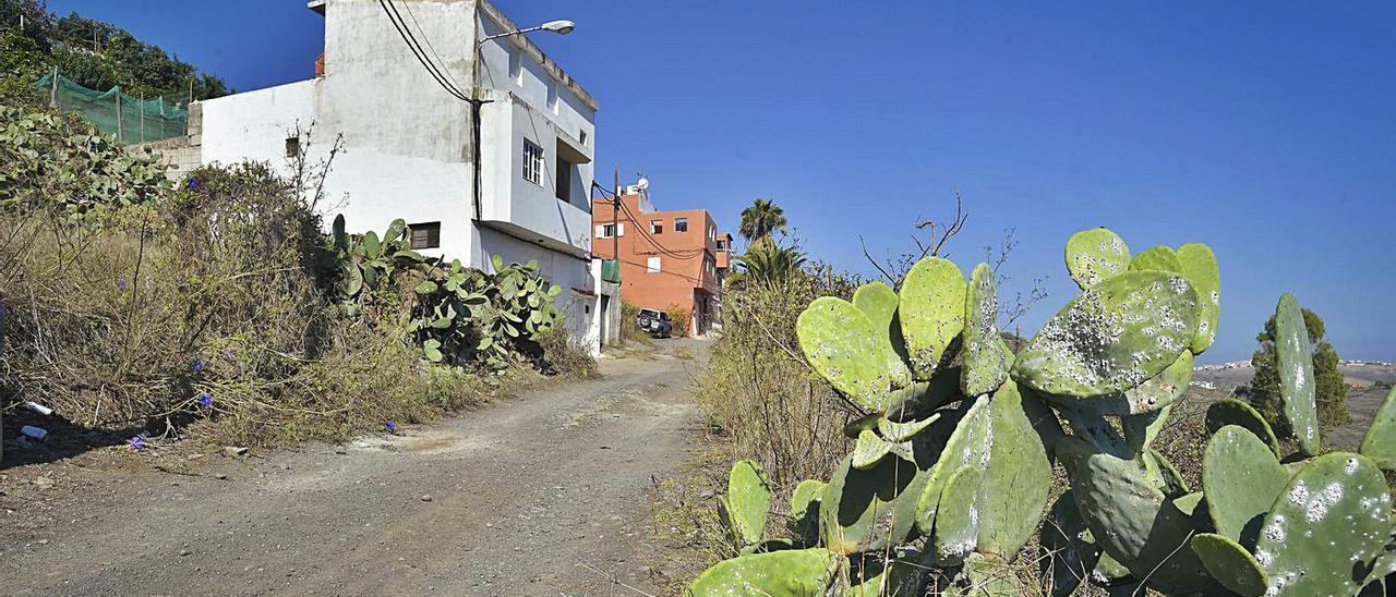 Vista general de la calle Cancela Trasera, sin urbanizar, y con la suciedad proliferando en sus márgenes.