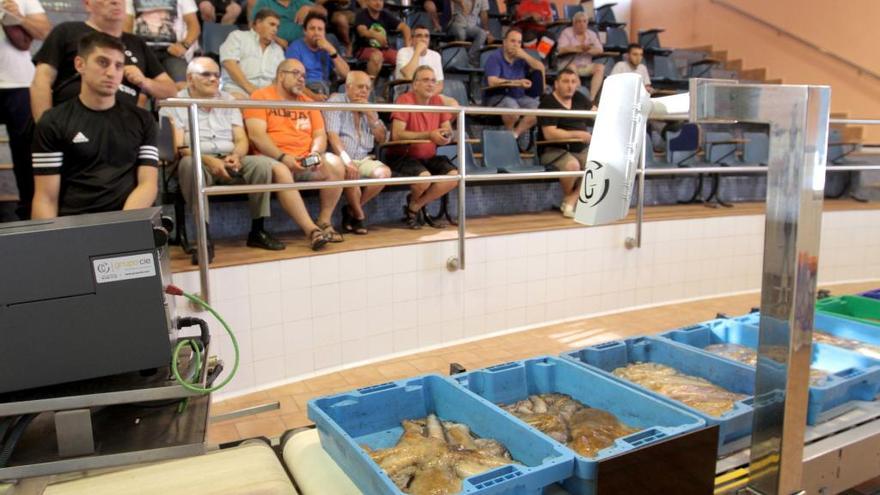 Los pescaderos se disponen a comprar el género en la lonja de Cartagena durante una subasta.