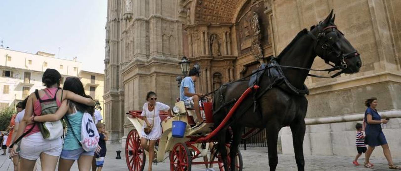 Una calesa deja a una turista frente a la Catedral, en una imagen de archivo.