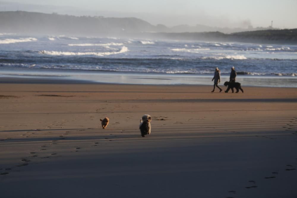 Bañistas en la playa de Salinas