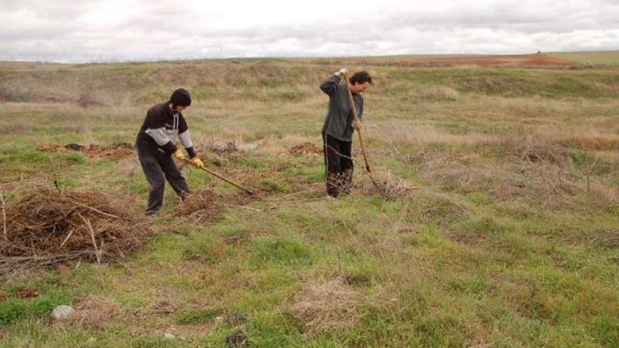 Dos operarias realizan tareas de limpieza cerca del río Valderaduey.