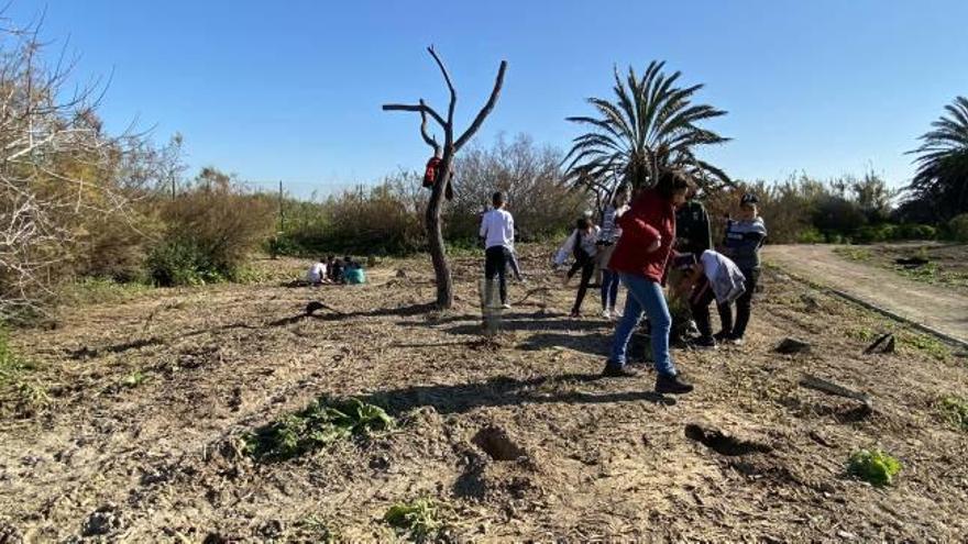 Los escolares plantaron especies autóctonas como romero o chopos en la margen izquierda del río.