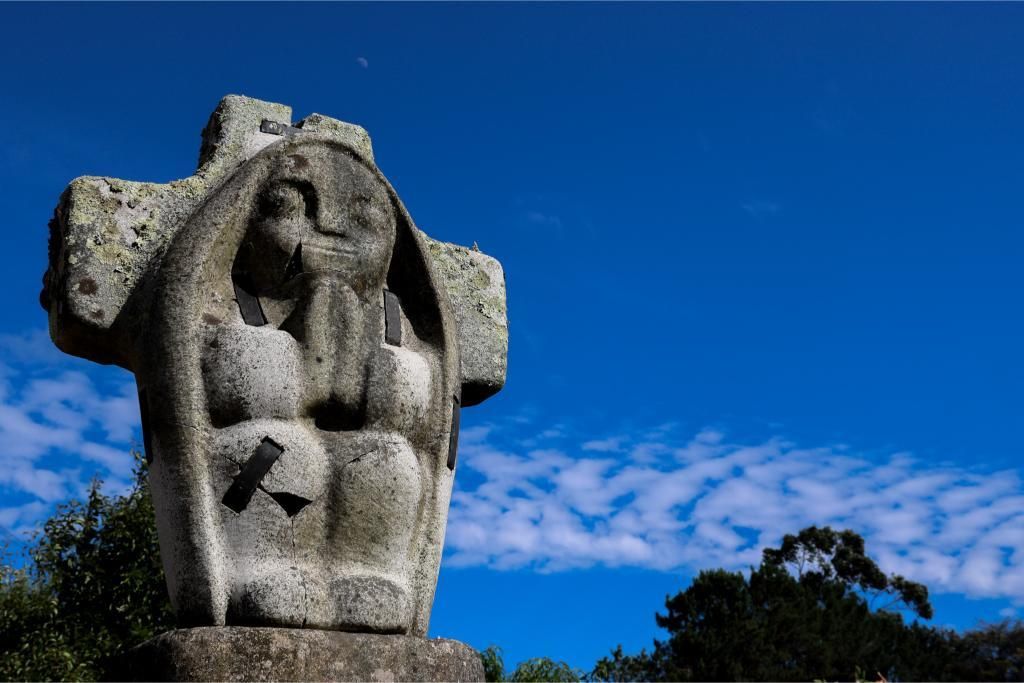 Así es el territorio de artista de Francisco Pazos