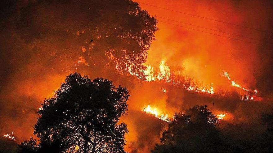 Sofocado el fuego de pastos y monte bajo que obligó a desalojar el Club Mirabueno