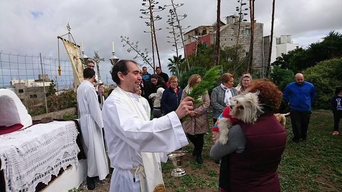 Actos religiosos en Tamaraceite y bendición de animales