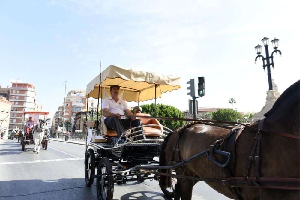 Ruta en carro al corazón de la Huerta