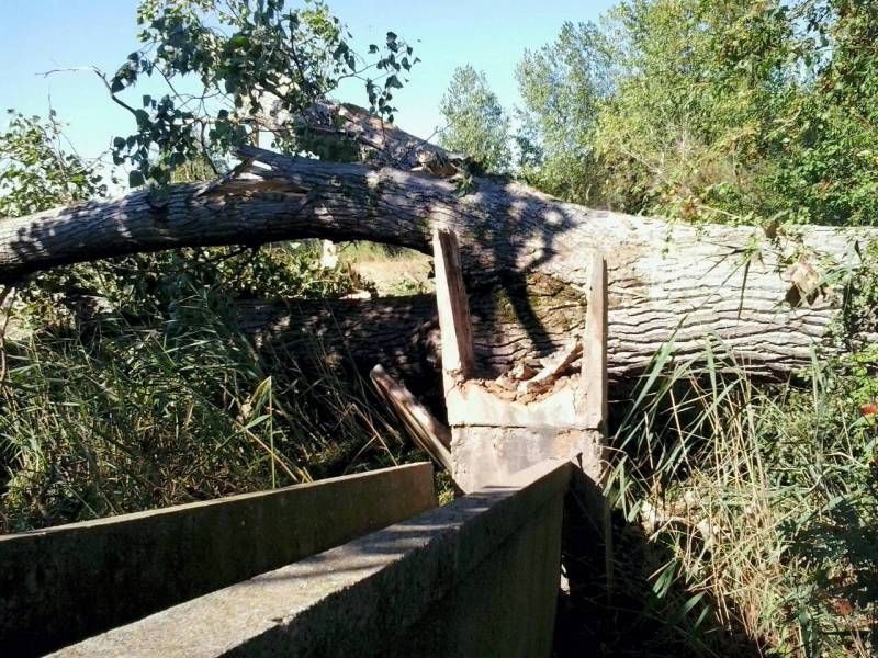 Fotogalería: Los destrozos materiales a causa del temporal