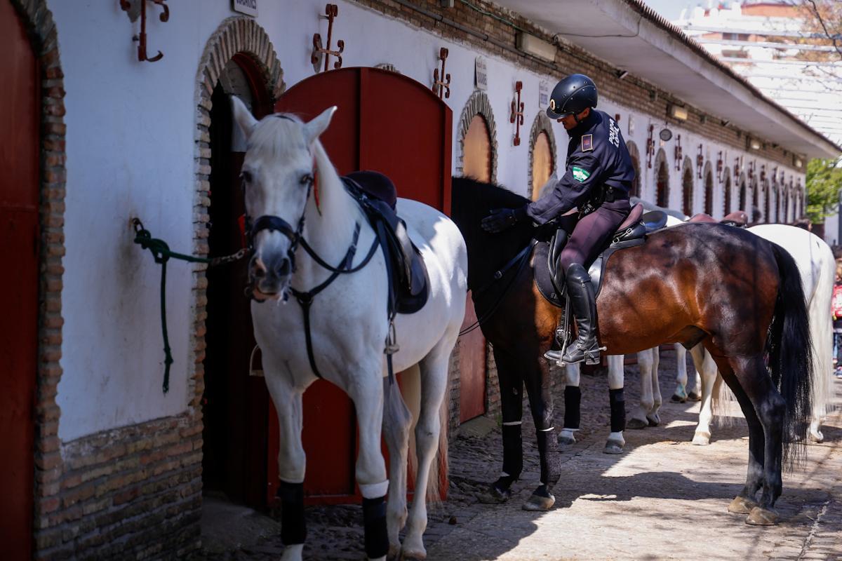 La unidad de caballería de la Policía Local de Córdoba cumple 150 años