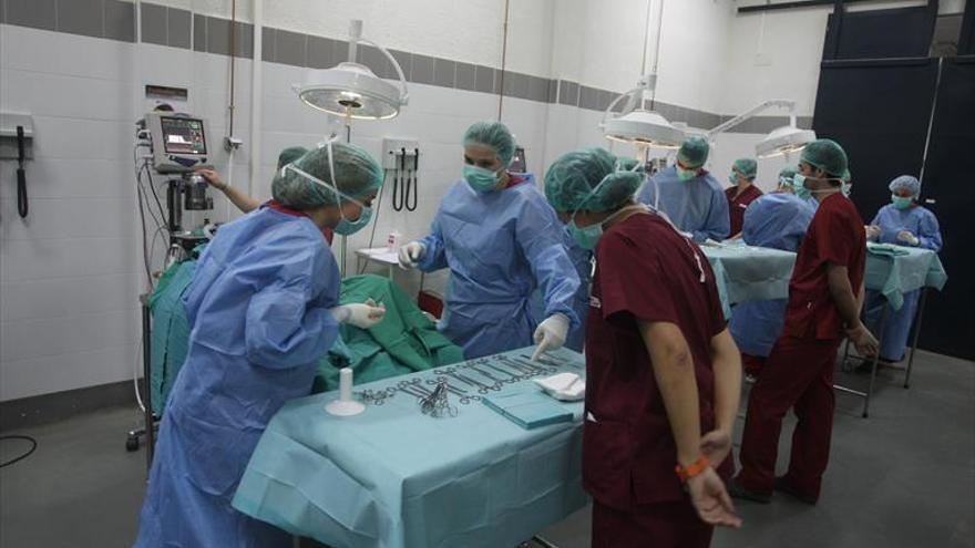 El Hospital Clínico Veterinario de la UCO atiende unos 6.000 casos al año