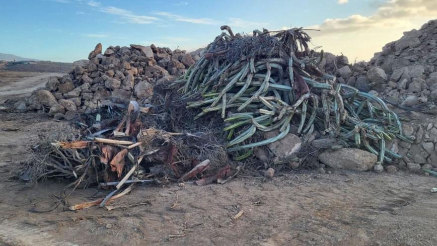Imagen del colectivo de arqueología social Imastanem del terreno ubicado en el municpio de Arico.