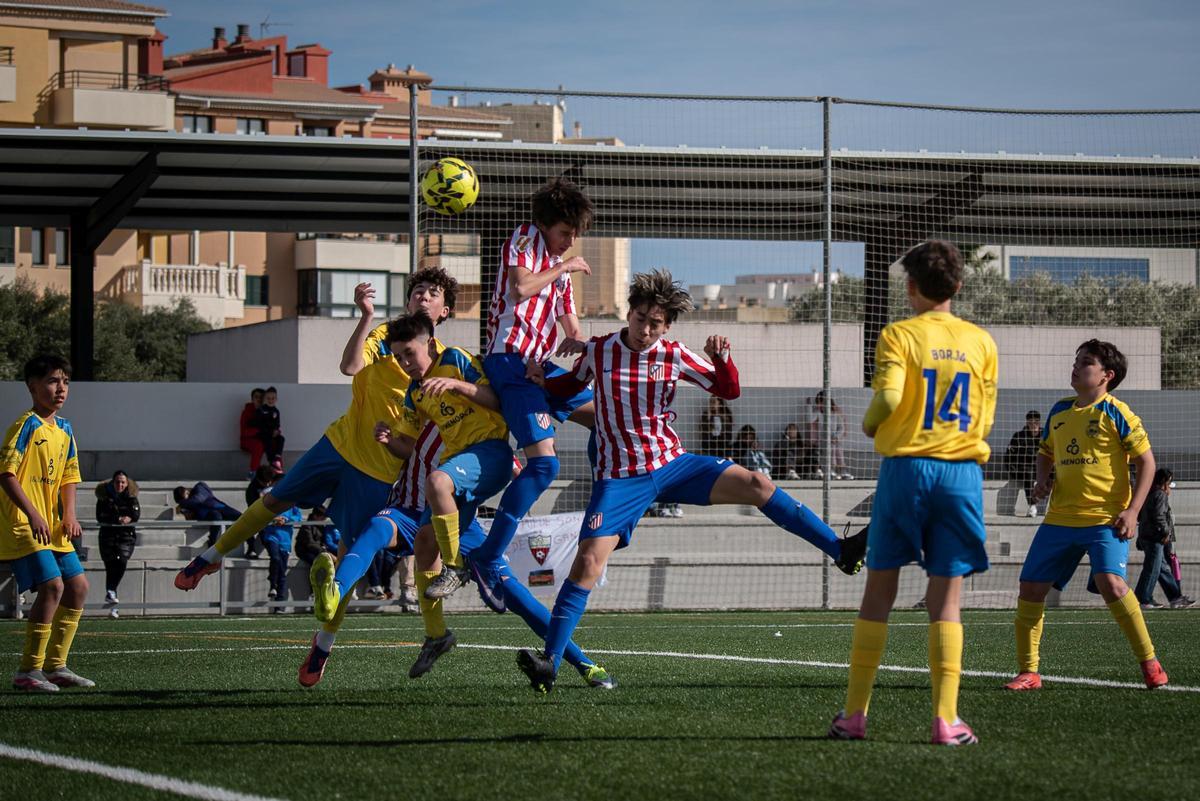 El Atlético de Madrid es uno de los equipos que está destacando en el torneo